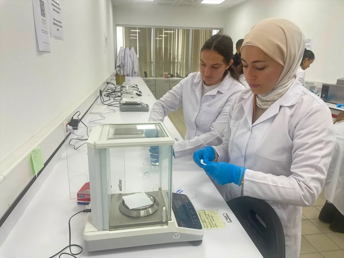 3 boyutlu biyoyazıcıyla melanom tedavisine yönelik mikroiğne yaması geliştirildi 3 boyutlu biyoyazıcıyla melanom tedavisine yönelik mikroiğne yaması geliştirildi