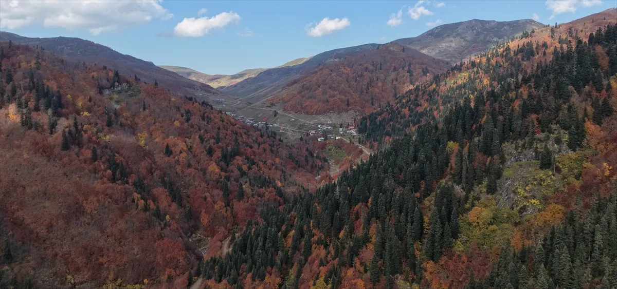 Artvin’in sakin şehri Şavşat’ta sonbahar renkleri göz dolduruyor Artvin’in sakin şehri Şavşat’ta sonbahar renkleri göz dolduruyor