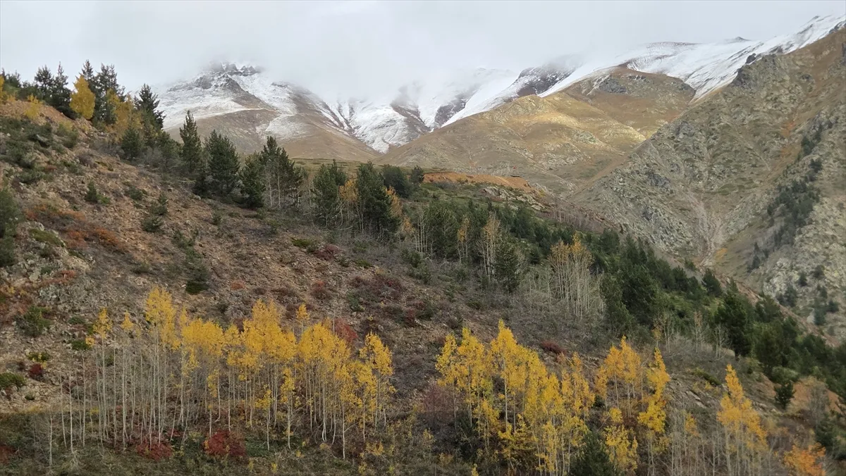 Artvin’in yüksek kesimleri karla kaplandı Artvin’in yüksek kesimleri karla kaplandı