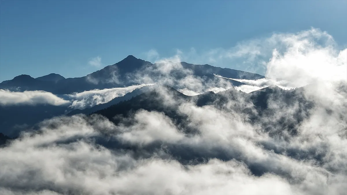 Artvin’in yüksek kesimlerinde sis etkili oldu Artvin’in yüksek kesimlerinde sis etkili oldu