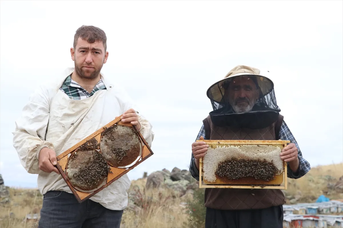 Babasından devraldığı 70 kovanı 7 yılda 1200’e çıkardı Babasından devraldığı 70 kovanı 7 yılda 1200’e çıkardı