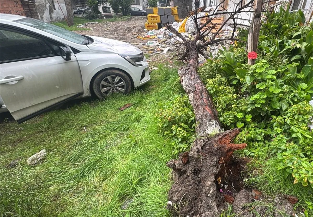 Bağcılar’da park halindeki otomobile ağaç devrildi