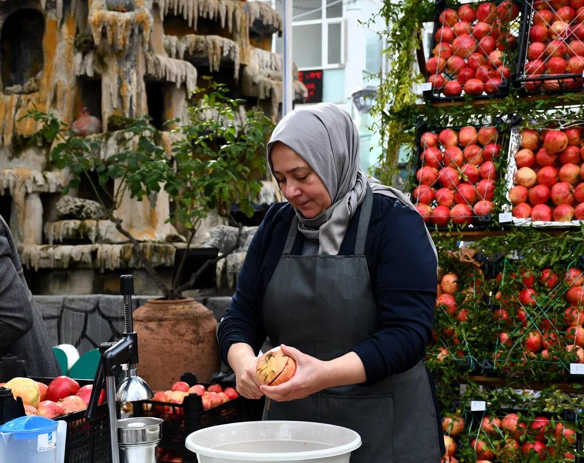 Bilecik’te 7. İnhisar Nar Festivali düzenlendi Bilecik’te 7. İnhisar Nar Festivali düzenlendi
