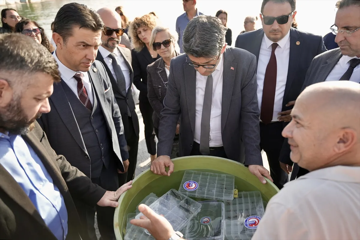 Çanakkale Boğazı’na 300 yavru ıstakoz bırakıldı
