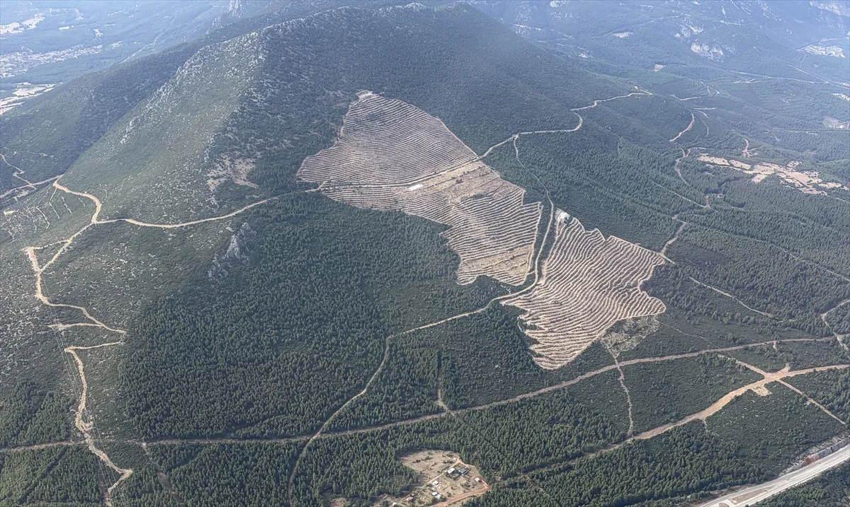 Denizli’de yangınlardan etkilenen alanlara yaklaşık 4,5 milyon fidan dikilecek Denizli’de yangınlardan etkilenen alanlara yaklaşık 4,5 milyon fidan dikilecek