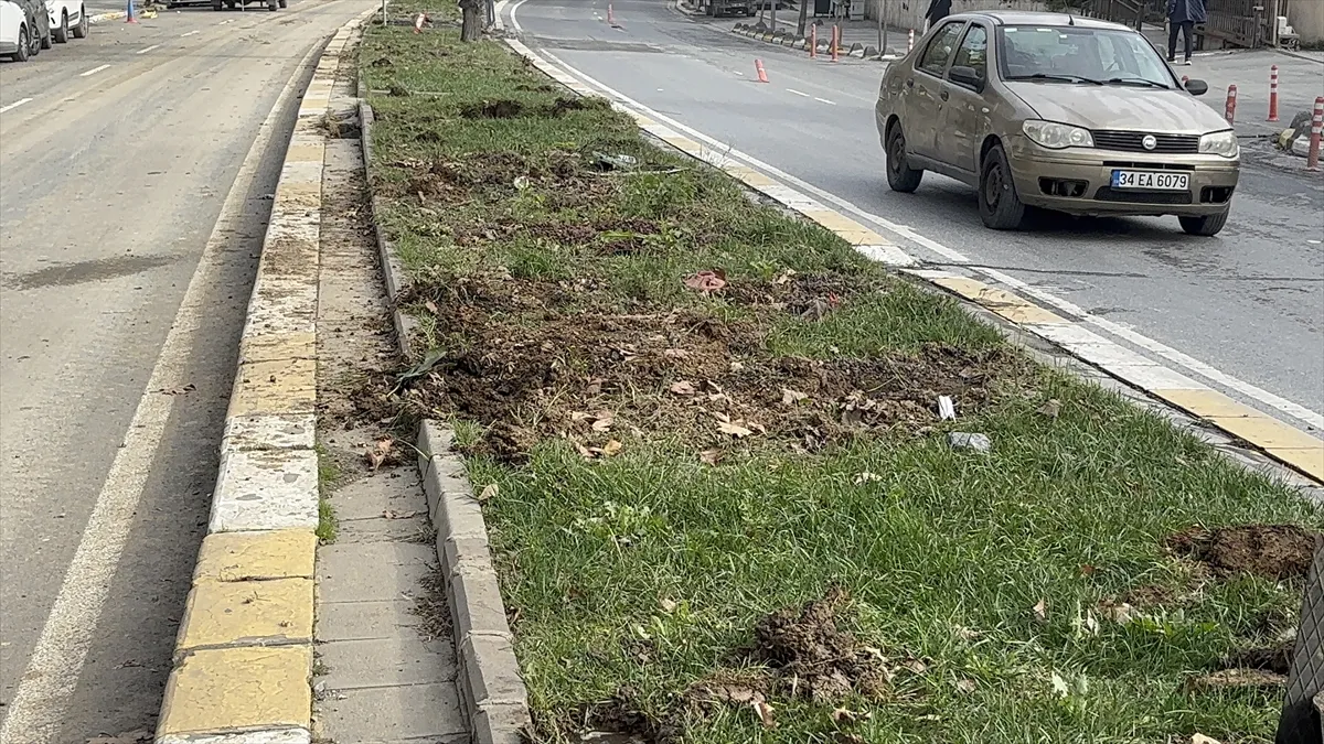 Eyüpsultan’da tramvay hattı çalışması için ağaçların kesildiği iddiasına vatandaşlardan tepki