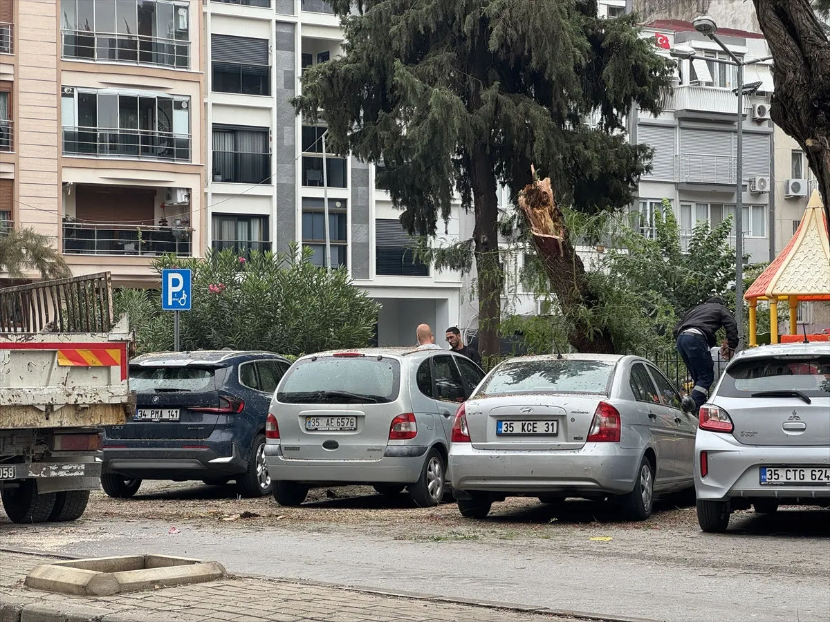 İzmir’de park halindeki 4 otomobilin üzerine ağaç devrildi
