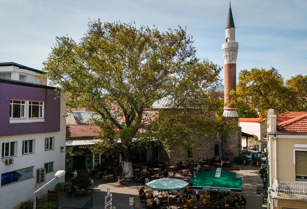 İzmir’de yaklaşık 400 yıllık çınarın gölgesinde yarım asırlık kahve geleneği sürüyor