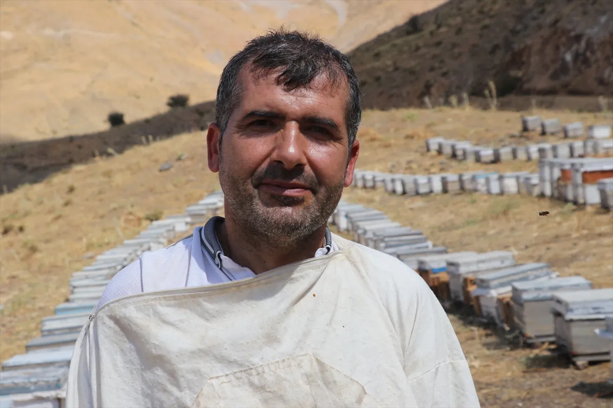 Kaliteli bal üretmek için izole bölgede arıcılık yapıyor Kaliteli bal üretmek için izole bölgede arıcılık yapıyor