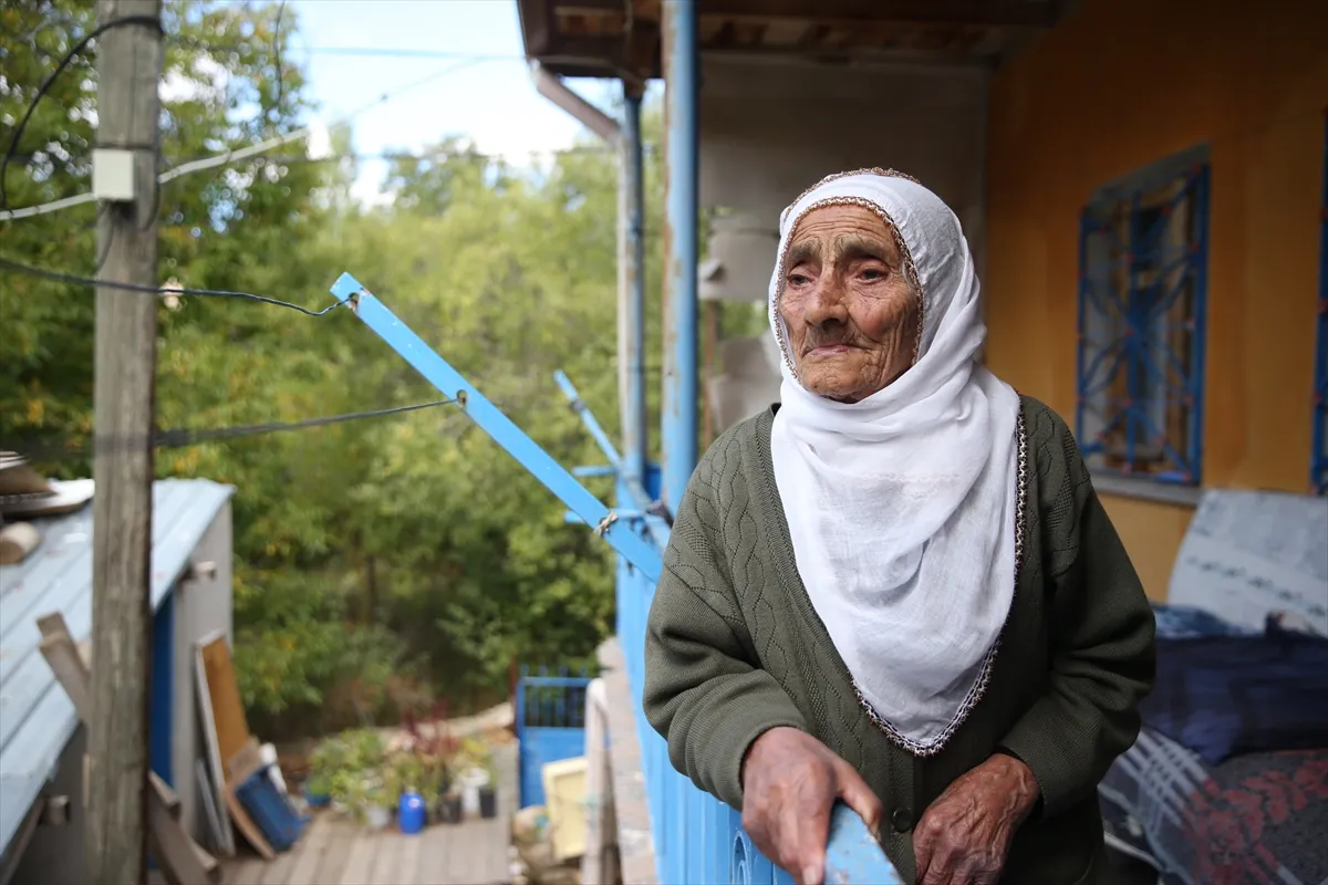 Kayseri’nin asırlık çınarları yıllara meydan okuyor Kayseri’nin asırlık çınarları yıllara meydan okuyor