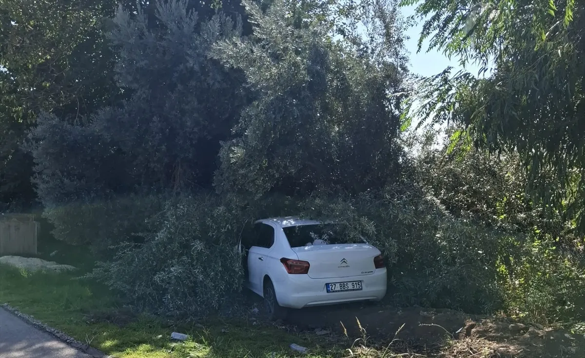 Mersin’de zeytin bahçesine giren otomobilin çarptığı kişi yaşamını yitirdi