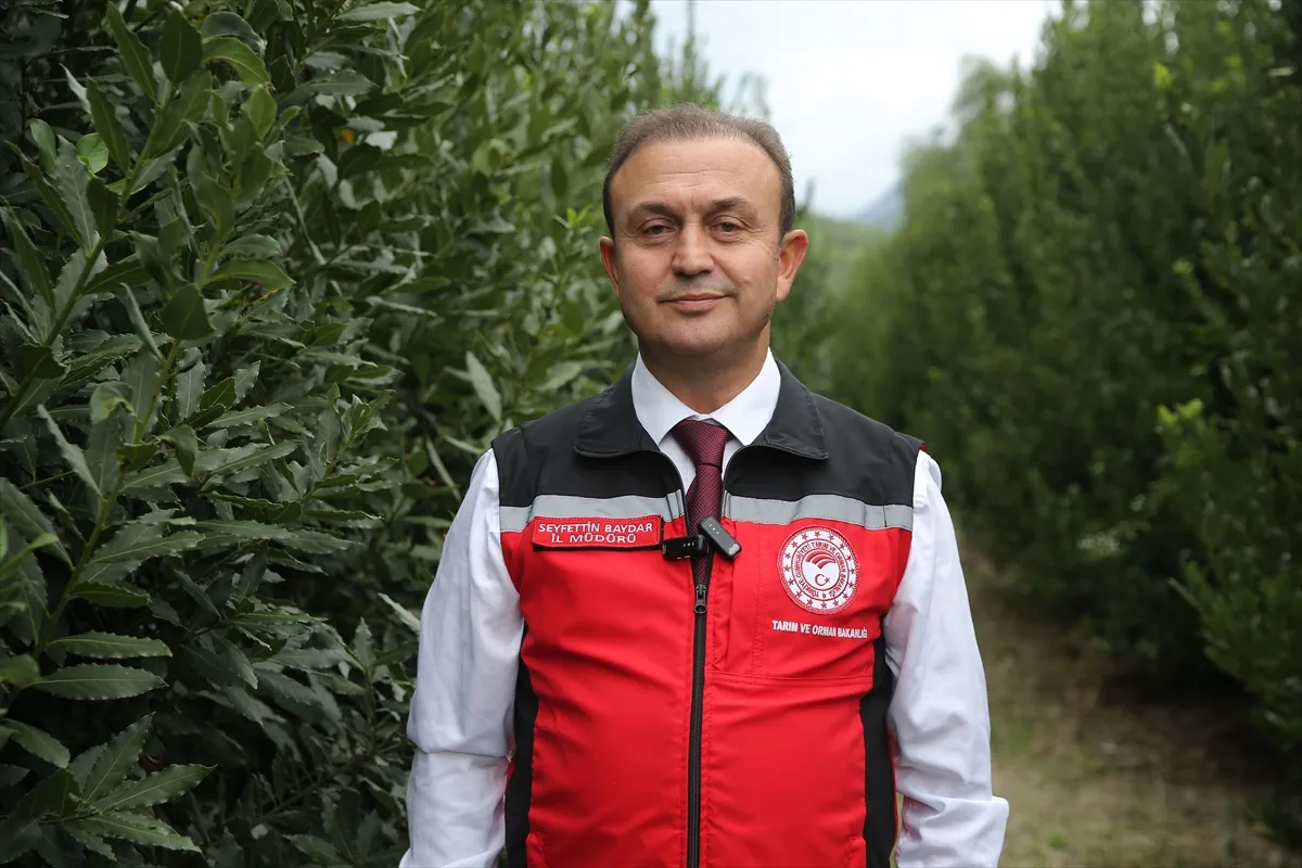Muğla’dan su ürünleri ihracatı 9 ayda 630 milyon 901 bin dolara ulaştı Muğla’dan su ürünleri ihracatı 9 ayda 630 milyon 901 bin dolara ulaştı