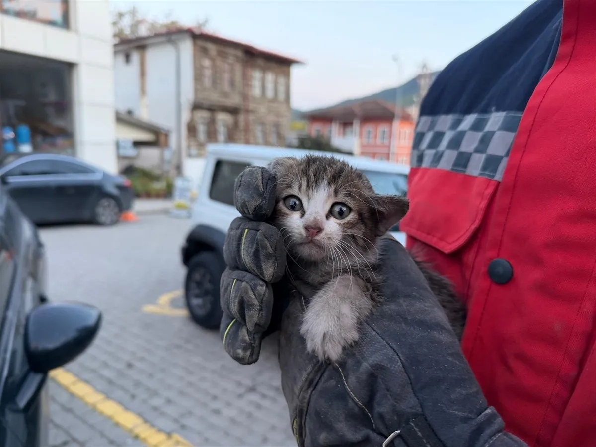 Sakarya’da otomobilin motor bölümünde sıkışan yavru kedi kurtarıldı Sakarya’da otomobilin motor bölümünde sıkışan yavru kedi kurtarıldı
