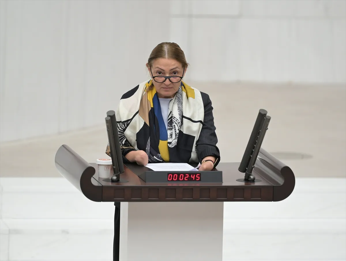 TBMM Genel Kurulu 2. kare