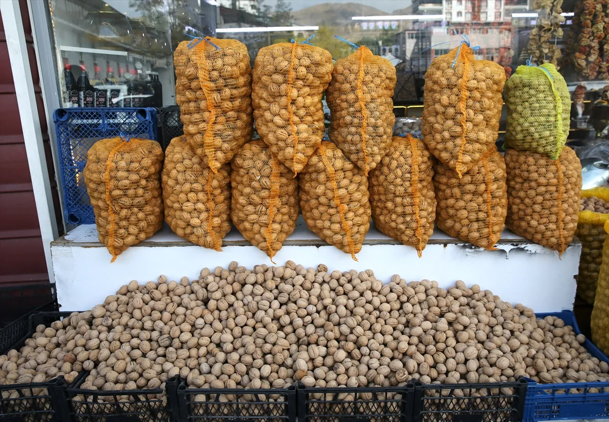 Tescilli Adilcevaz cevizinin hasadına başlandı