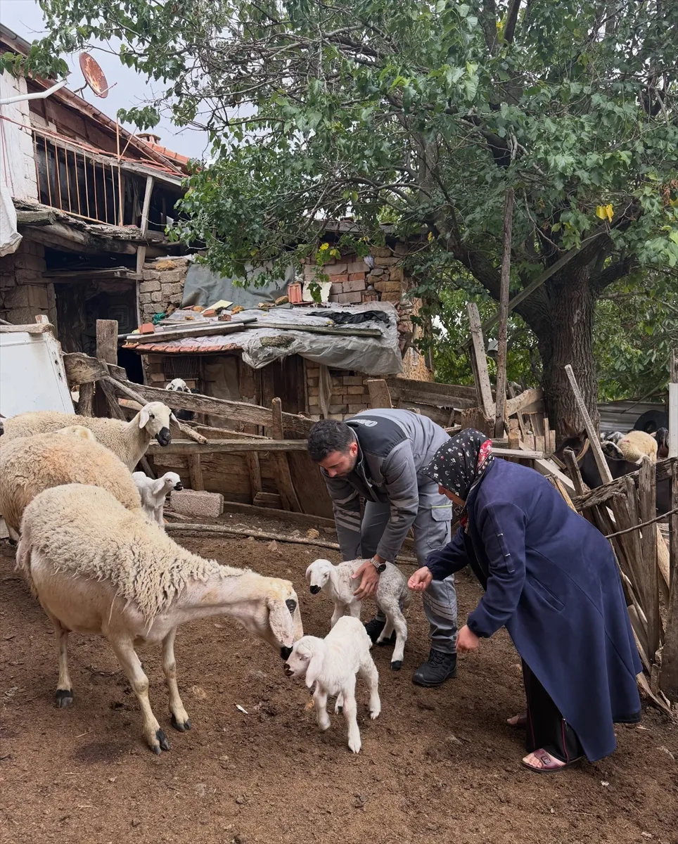 Yozgat’ta orman köylülerine hayvancılık desteği Yozgat’ta orman köylülerine hayvancılık desteği