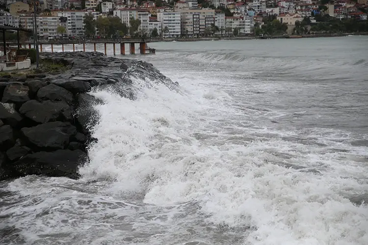 Doğu Karadeniz’den yapılan ihracat 1 milyar 290 milyon doları aştı Doğu Karadeniz’den yapılan ihracat 1 milyar 290 milyon doları aştı