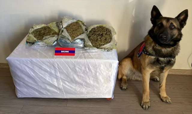 Bolu’da valizlerinde uyuşturucu ele geçirilen 2 zanlı tutuklandı Bolu’da valizlerinde uyuşturucu ele geçirilen 2 zanlı tutuklandı
