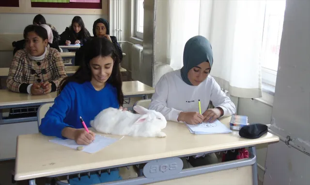 Gaziantep’te okuma saatinde öğrencilere tavşan "Pamuk" da katılıyor Gaziantep’te okuma saatinde öğrencilere tavşan "Pamuk" da katılıyor