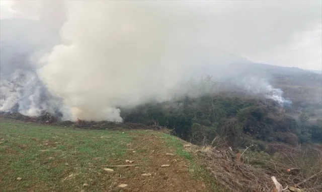 Kahramanmaraş’ta ağaçlandırma sahasında çıkan yangın söndürüldü Kahramanmaraş’ta ağaçlandırma sahasında çıkan yangın söndürüldü