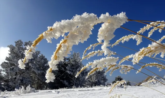 Kars ve Ardahan’da göletler, çeşmeler, kaldırımlar buz tuttu Kars ve Ardahan’da göletler, çeşmeler, kaldırımlar buz tuttu