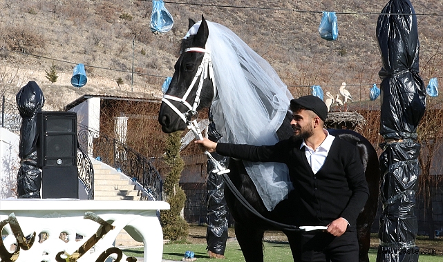 Kayseri’de oldu! Çiftliğin yeni üyesi atlara ’düğün’ yaptılar Kayseri’de oldu! Çiftliğin yeni üyesi atlara ’düğün’ yaptılar