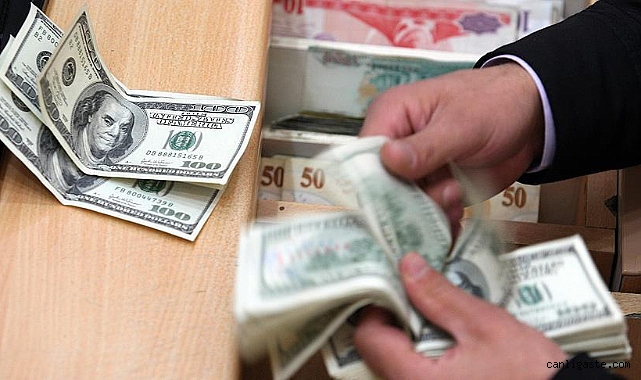 Serbest piyasada döviz açılış fiyatları (11 Ocak 2023) Serbest piyasada döviz açılış fiyatları (11 Ocak 2023)