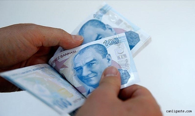 Sosyal ve Ekonomik Destek (SED) ödemeleri hesaplara yatırıldı Sosyal ve Ekonomik Destek (SED) ödemeleri hesaplara yatırıldı