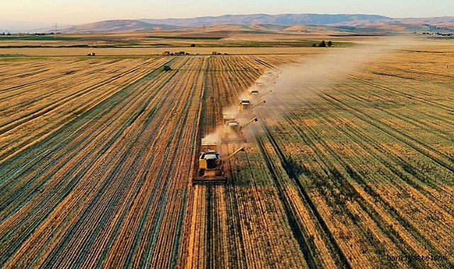 Tarımsal destek ödemeleri bugün başlıyor Tarımsal destek ödemeleri bugün başlıyor