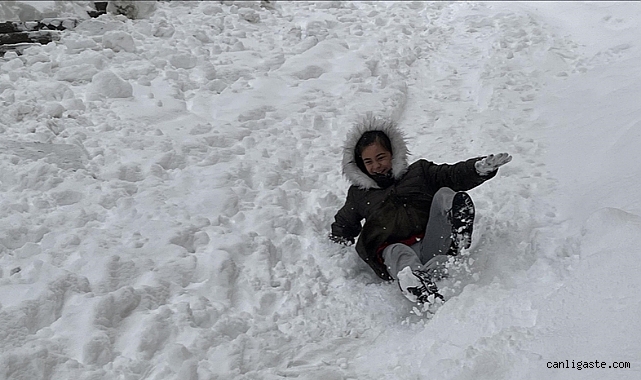 Bitlis ve 3 ilçesinde okullara 1 günlük kar tatili Bitlis ve 3 ilçesinde okullara 1 günlük kar tatili