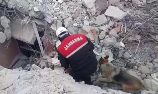 Jandarmanın dedektör köpeğinin yardımıyla enkazlarda 6 cenazeye ulaşıldı Jandarmanın dedektör köpeğinin yardımıyla enkazlarda 6 cenazeye ulaşıldı