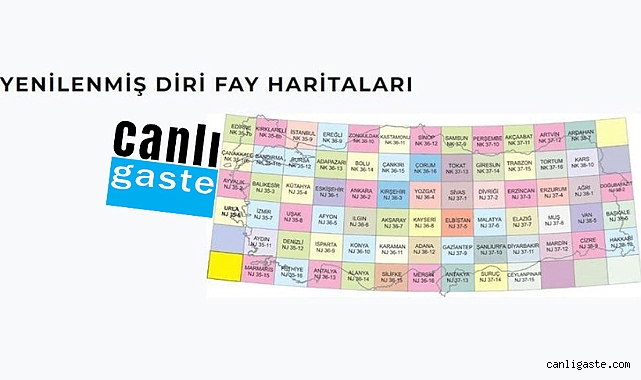 MTA diri fay haritası: 45 il ve 110 ilçe fay hattı üstünde (Güncel)