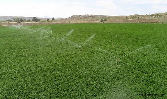 Tarım ve Orman Bakanlığı deprem bölgesinde bazı mal ve hizmetleri ücretsiz verecek Tarım ve Orman Bakanlığı deprem bölgesinde bazı mal ve hizmetleri ücretsiz verecek