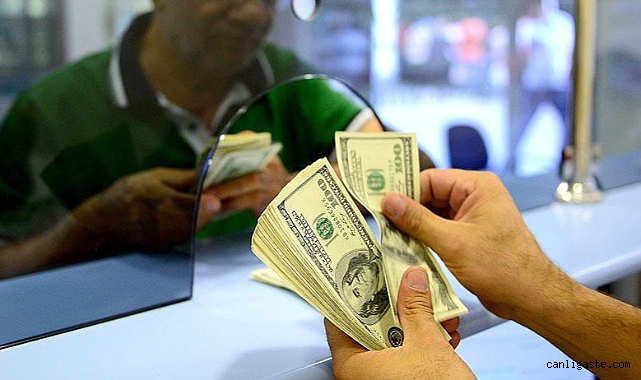D V Z KURLARI Dolar Ne Kadar Euro Ka Lira Sterlin Ka TL 24 Mart d-v-z-kurlari-dolar-ne-kadar-euro-ka-lira-sterlin-ka-tl-24-mart
