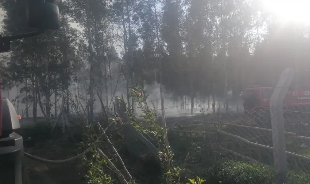 Mersin’de ormanlık alanda çıkan yangın söndürüldü Mersin’de ormanlık alanda çıkan yangın söndürüldü