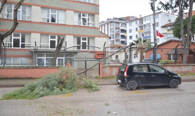 Sakarya ve Kocaeli’de şiddetli rüzgar etkili oldu Sakarya ve Kocaeli’de şiddetli rüzgar etkili oldu