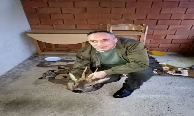Düzce’de tellere takılan karacayı köylüler kurtardı Düzce’de tellere takılan karacayı köylüler kurtardı
