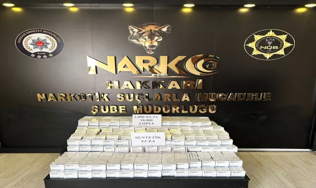 Hakkari’de 2 bin kutu ilaç ele geçirildi Hakkari’de 2 bin kutu ilaç ele geçirildi