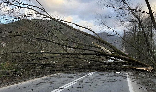 Kayseri ve çevre iller için fırtına uyarısı Kayseri ve çevre iller için fırtına uyarısı
