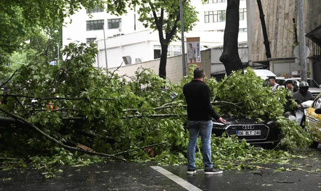 Ankara’da sağanak nedeniyle devrilen ağaç 3 araçta hasara yol açtı Ankara’da sağanak nedeniyle devrilen ağaç 3 araçta hasara yol açtı