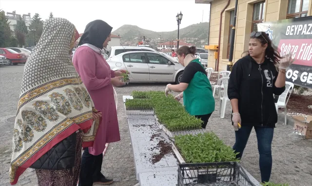 Beypazarı Belediyesi uygun fiyata fide satıyor Beypazarı Belediyesi uygun fiyata fide satıyor