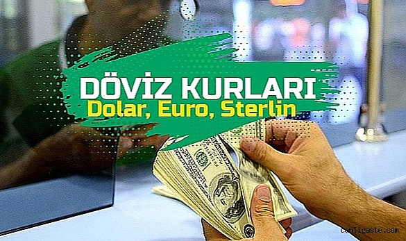 Dolar kuru bugün ne kadar? Euro kaç TL? Sterlin kaç Lira oldu? (29 Mayıs 2023 döviz kurları) Dolar kuru bugün ne kadar? Euro kaç TL? Sterlin kaç Lira oldu? (29 Mayıs 2023 döviz kurları)