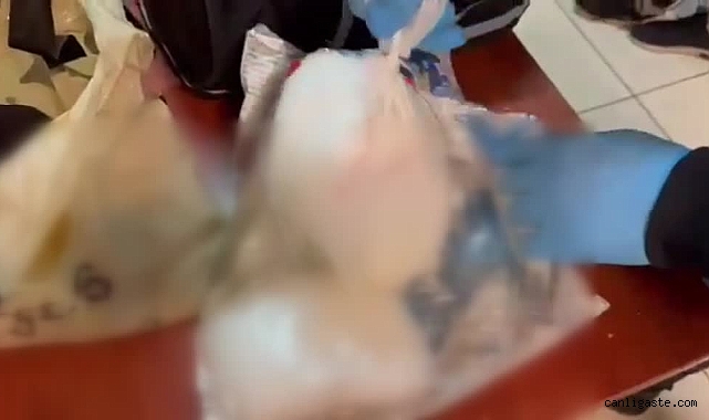 Kayseri’de Narkotik, cips paketine gizlenmiş 1,5 kilogram uyuşturucu ele geçirdi Kayseri’de Narkotik, cips paketine gizlenmiş 1,5 kilogram uyuşturucu ele geçirdi