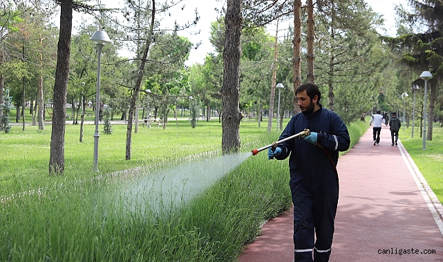 Kayseri’den kısa kısa haberler (31 Mayıs 2023) Kayseri’den kısa kısa haberler (31 Mayıs 2023)