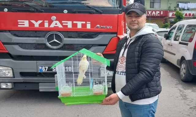 Zonguldak’ta evin penceresinden kaçan papağanı itfaiye yakaladı Zonguldak’ta evin penceresinden kaçan papağanı itfaiye yakaladı