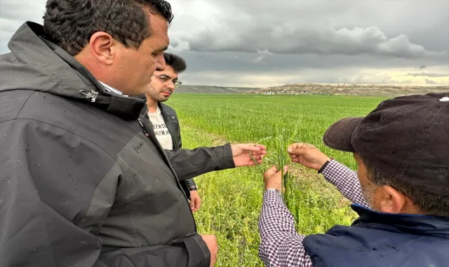 CHP Sivas Milletvekili Ulaş Karasu: "Selden zarar gören yerler ’Afet Bölgesi’ ilan edilmeli" CHP Sivas Milletvekili Ulaş Karasu: "Selden zarar gören yerler ’Afet Bölgesi’ ilan edilmeli"