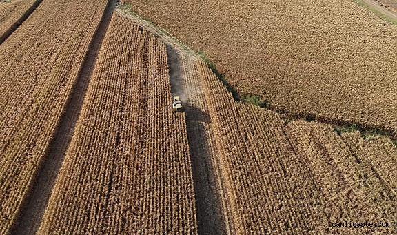 Çiftçilere bugün 124 milyon liralık destekleme ödemesi yapılacak Çiftçilere bugün 124 milyon liralık destekleme ödemesi yapılacak