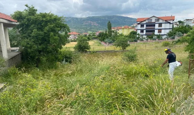 Güdül’de yabancı ot temizliği devam ediyor Güdül’de yabancı ot temizliği devam ediyor