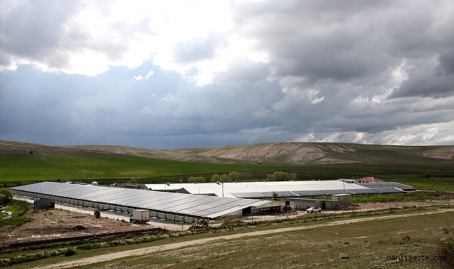 Kayseri’de alabalık yavrusu üretim kapasitesi 220 milyon adede ulaştı Kayseri’de alabalık yavrusu üretim kapasitesi 220 milyon adede ulaştı