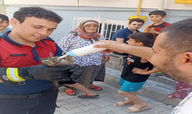 Ordu’da mahsur durumdaki yavru kedi ile 4 baykuş kurtarıldı Ordu’da mahsur durumdaki yavru kedi ile 4 baykuş kurtarıldı